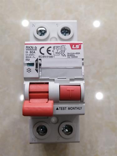RCCB LS 1P-N 80A 30mA 10kA ( RKN-b 1P-N )